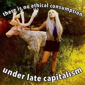 Meet your Posher, Barucha